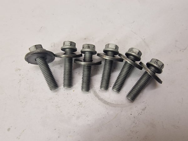 HH COLLAR SCREW M 6X25 WS=8 / WASHER 6,2X18X2  (KTM SXF450 2007) 50232050000 0015060253 0025060256